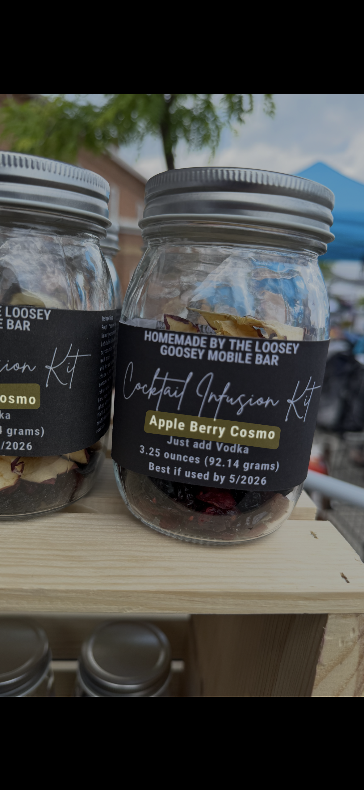 Cocktail Infusion Kit