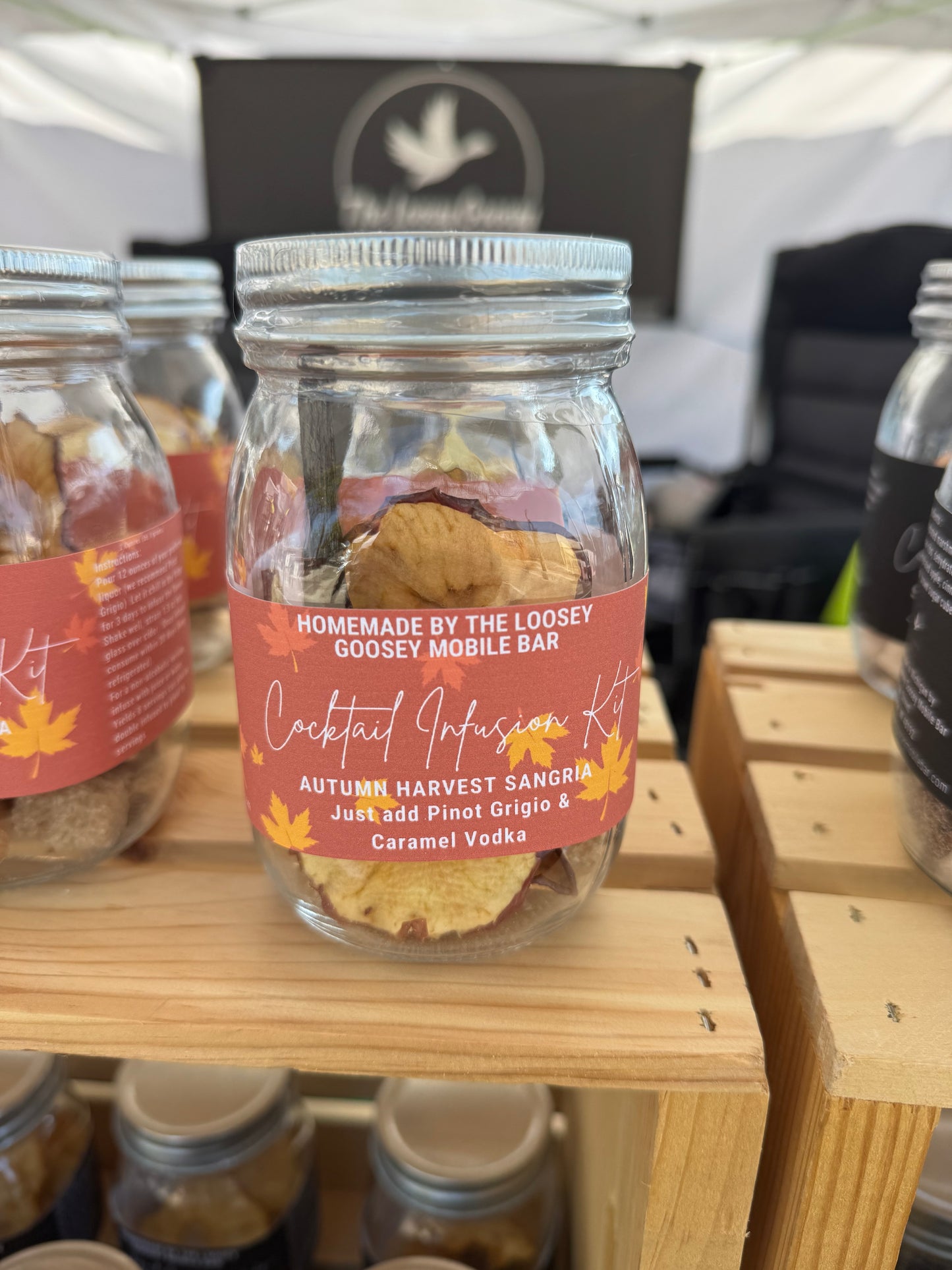 Cocktail Infusion Kit